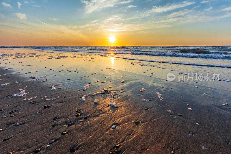 Beach Sunset, Bredene, België